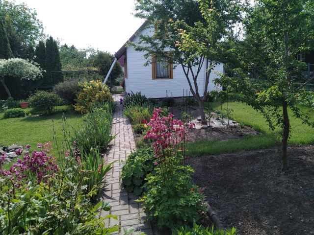 Działka rod Białystok Centrum. Zdjęcie 1