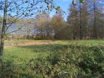 Działka rolno-budowlana Nowe Miasto, ul. Płońska. Zdjęcie 1