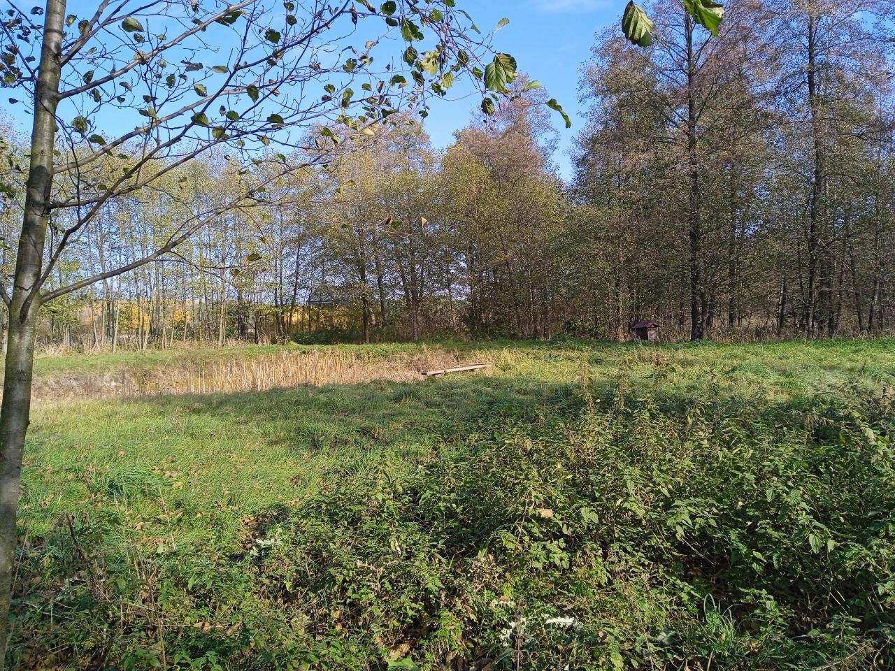 Działka rolno-budowlana Nowe Miasto, ul. Płońska. Zdjęcie 2