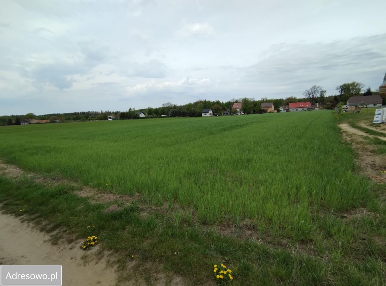 Działka budowlana Wrześnica. Zdjęcie 3