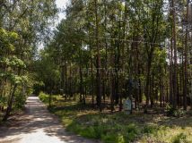 Działka budowlana Sękocin-Las, ul. Księżnej Zofii Czetwertyńskiej. Zdjęcie 4