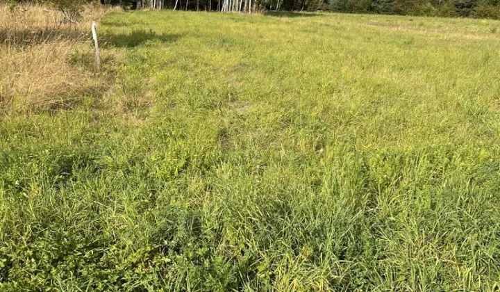 Działka rolno-budowlana Kwaśniów Górny