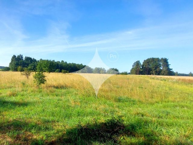 Działka budowlana Porbady. Zdjęcie 9