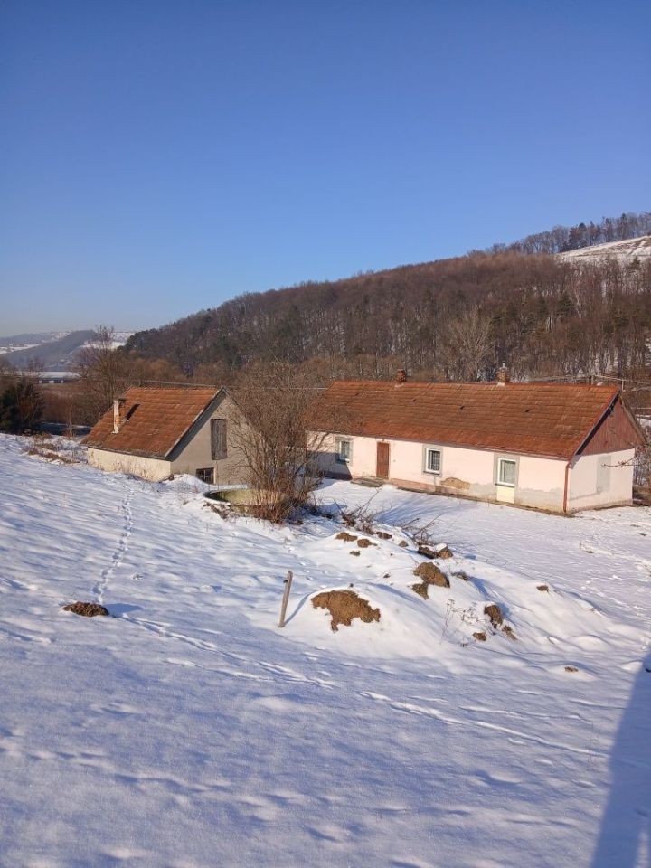 dom wolnostojący Sienna. Zdjęcie 3