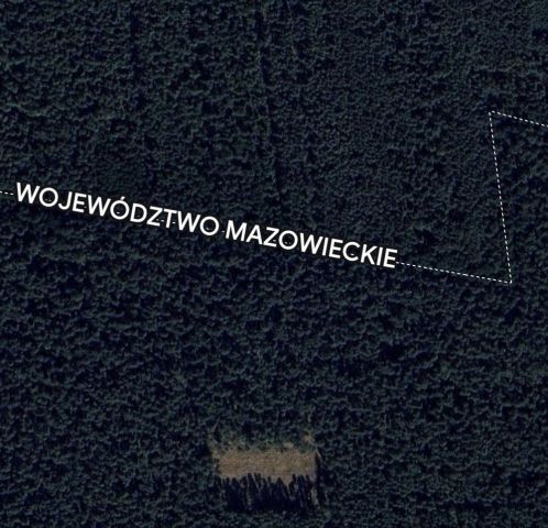 Działka leśna Wólka Modrzejowa. Zdjęcie 1