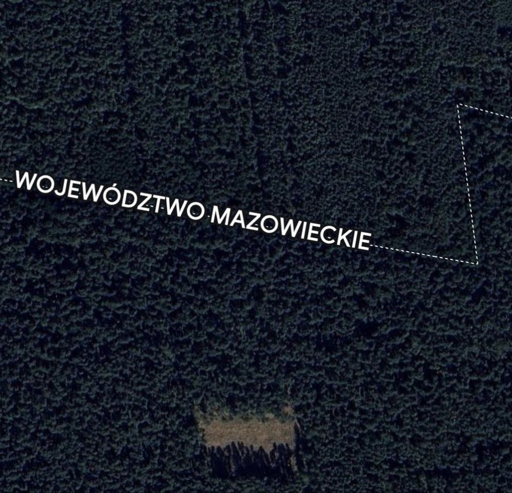Działka leśna Wólka Modrzejowa. Zdjęcie 1