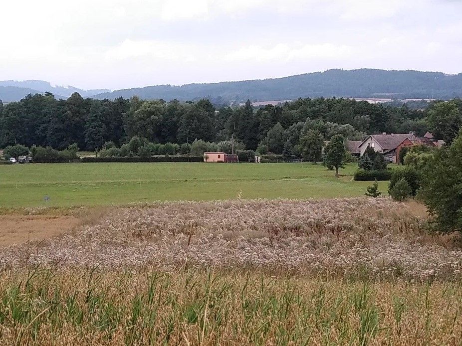 Działka budowlana Kudowa-Zdrój. Zdjęcie 7