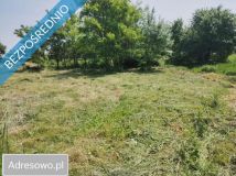 Działka budowlana Orzech, ul. Ogrodowa. Zdjęcie 2