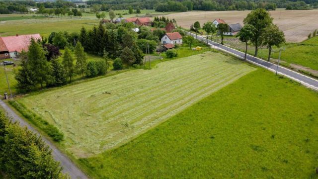 Działka budowlana Kurowo Braniewskie. Zdjęcie 5