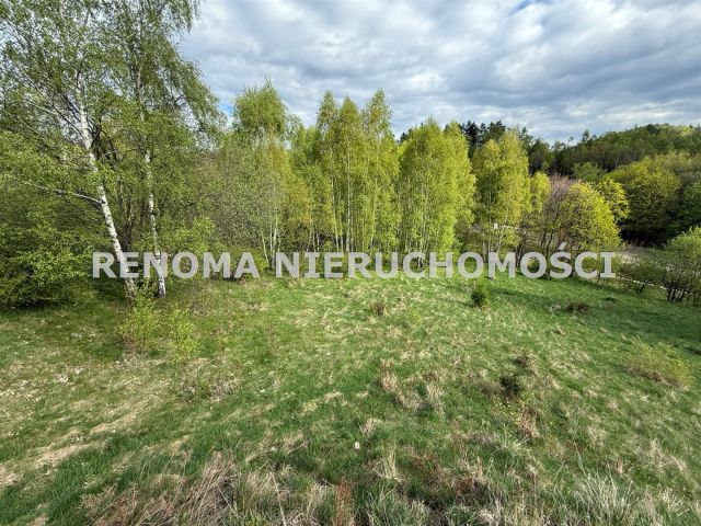 Działka budowlana Jedlina-Zdrój Kamieńsk. Zdjęcie 3