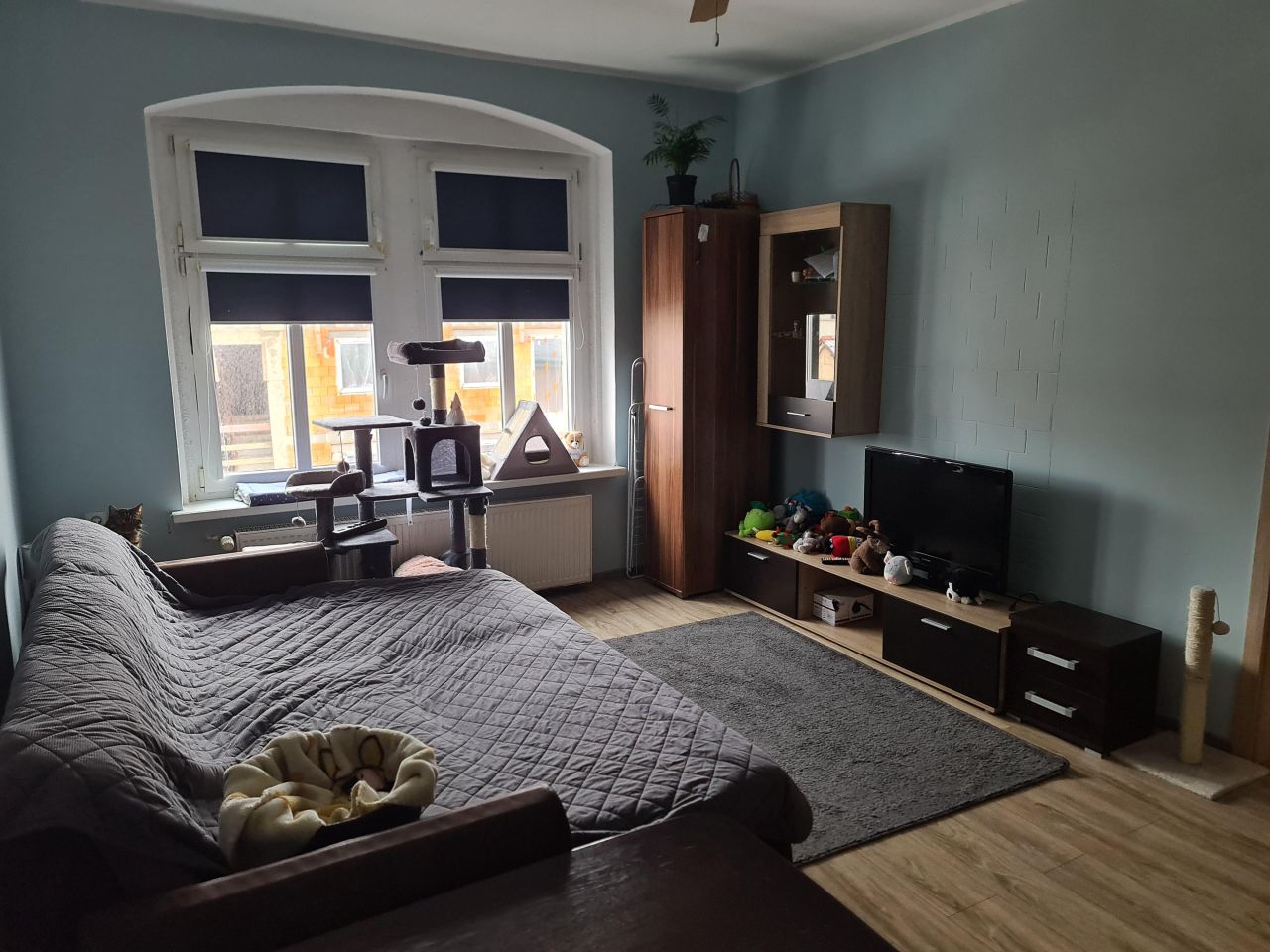 Mieszkanie 2-pokojowe Legnica, ul. Działkowa