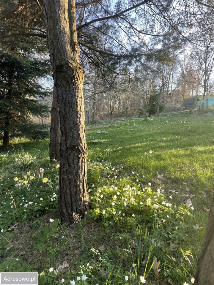 dom wolnostojący, 5 pokoi Giebułtów. Zdjęcie 20