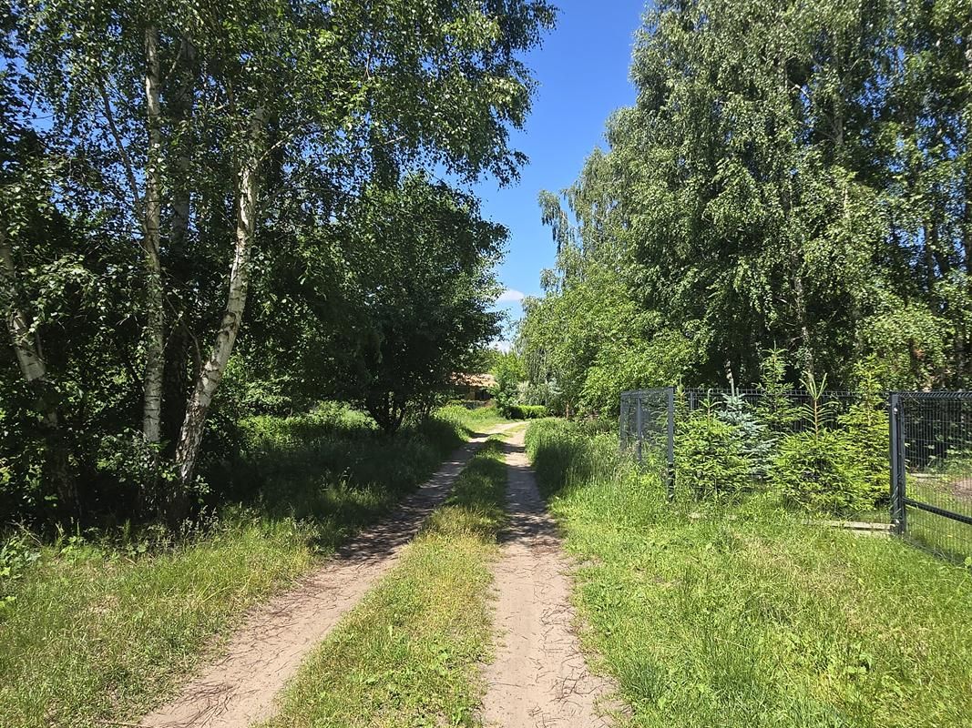 Działka budowlana Dąb Polski, ul. Liliowa. Zdjęcie 5