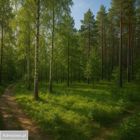 Działka budowlana Dziektarzew. Zdjęcie 1