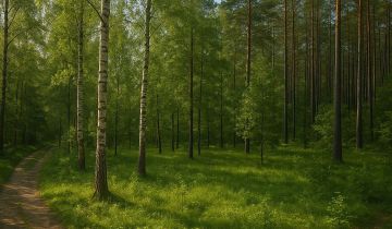 Działka budowlana Dziektarzew