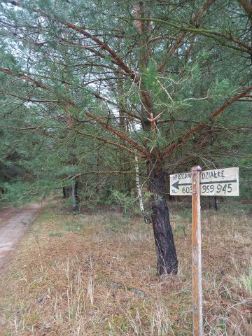 Działka rekreacyjna Dzbądz, Brak nazwy ulicy. Zdjęcie 7