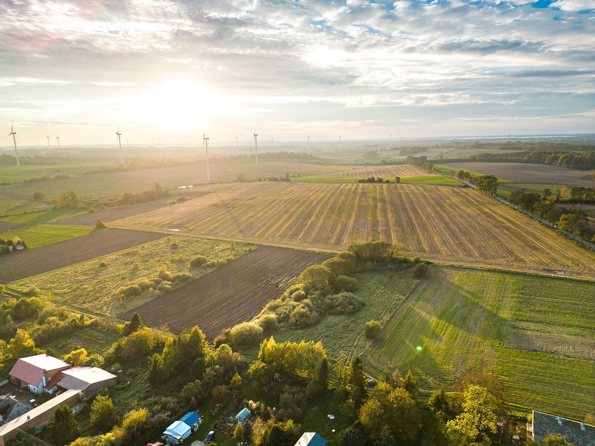 Działka budowlana Zaleskie. Zdjęcie 4