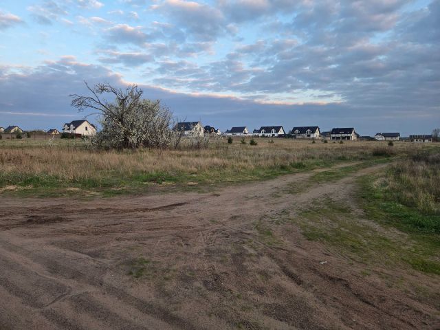 Działka rolno-budowlana Dębno, ul. Chojeńska. Zdjęcie 1