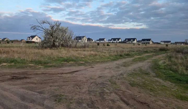 Działka rolno-budowlana Dębno, ul. Chojeńska