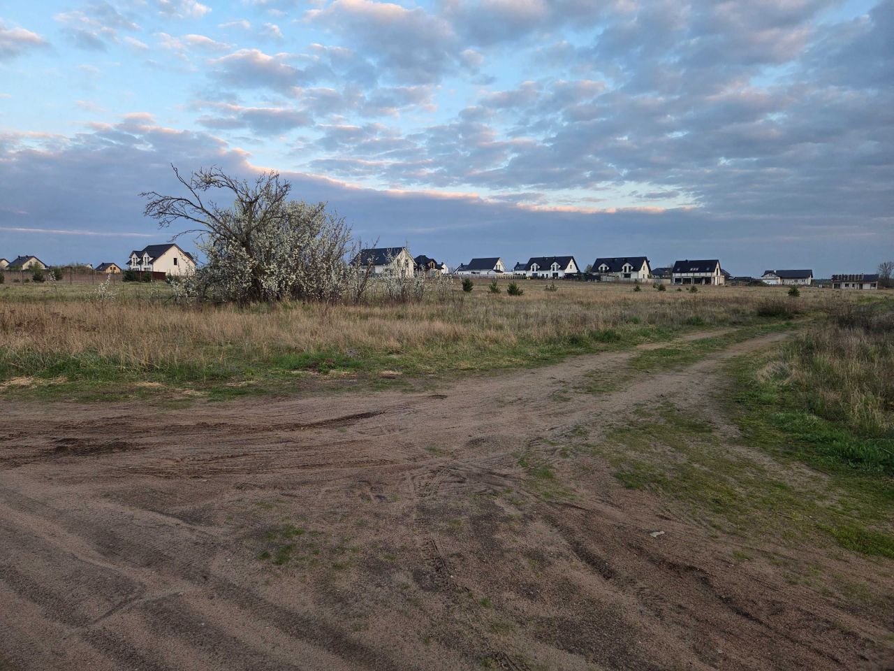 Działka rolno-budowlana Dębno, ul. Chojeńska. Zdjęcie 1