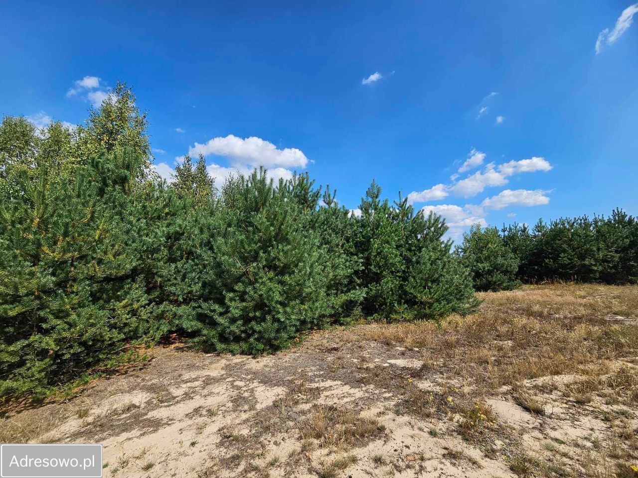 Działka budowlana Gulczewo, ul. Centralna. Zdjęcie 8