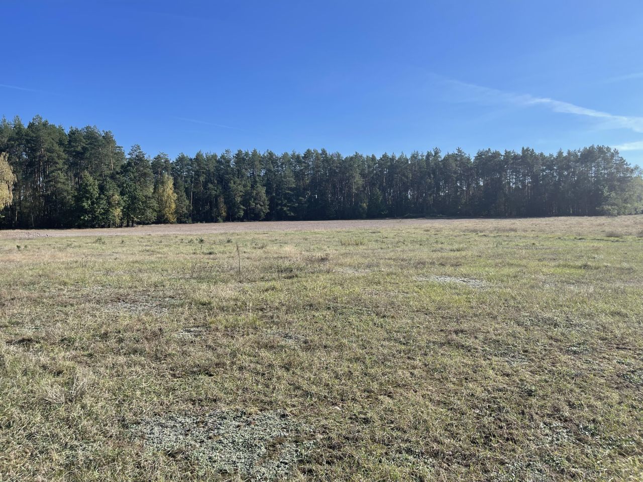 Działka rolna Jedlina. Zdjęcie 10