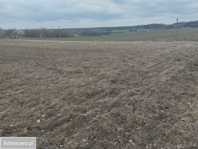 Działka budowlana Lesiew. Zdjęcie 1