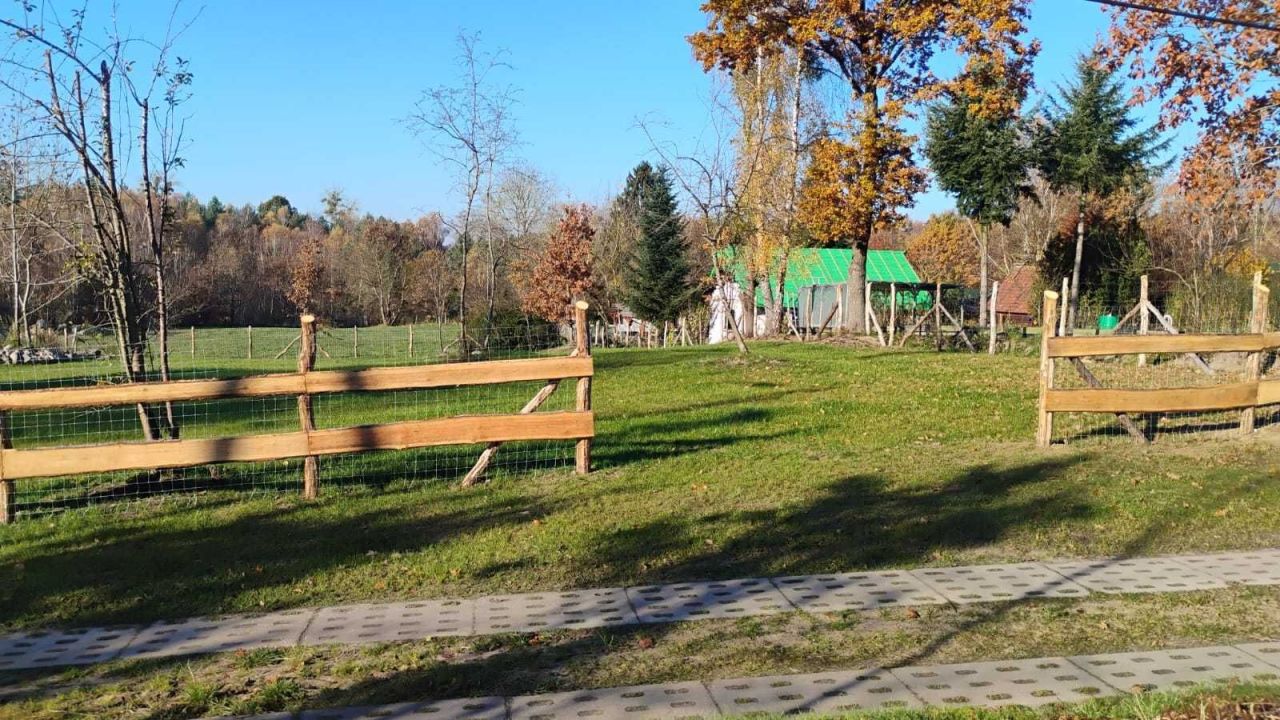 Działka rolno-budowlana Gardzin Gozdno. Zdjęcie 3