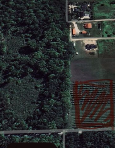 Działka budowlana Izbica. Zdjęcie 1