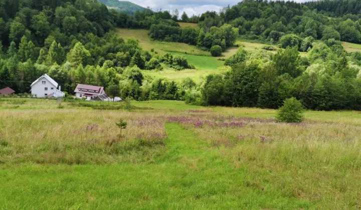 Działka budowlana Szczawa