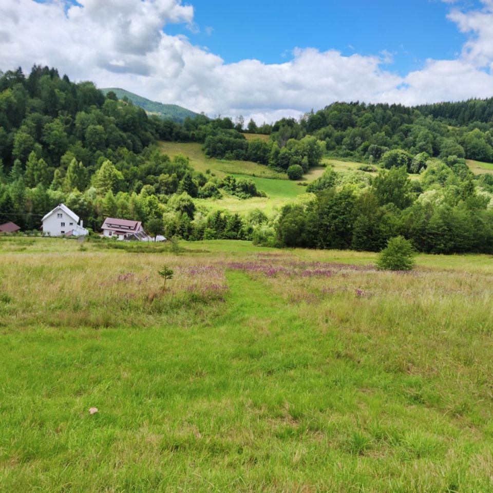 Działka budowlana Szczawa