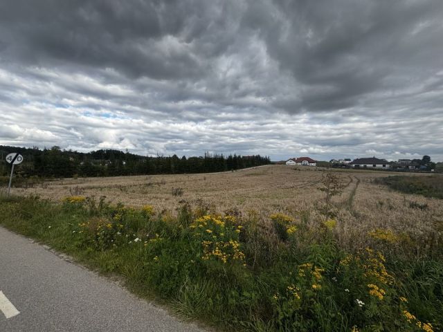 Działka rolno-budowlana Gajewo, ul. Dębowa. Zdjęcie 1