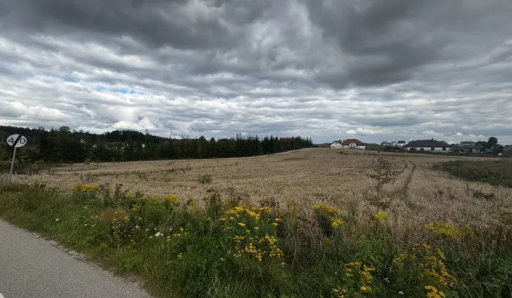 Działka rolno-budowlana Gajewo, ul. Dębowa