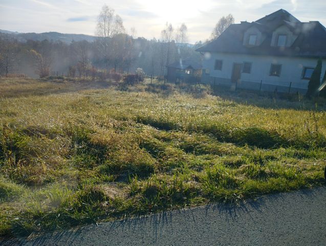 Działka budowlana Konieczkowa Rybia. Zdjęcie 1