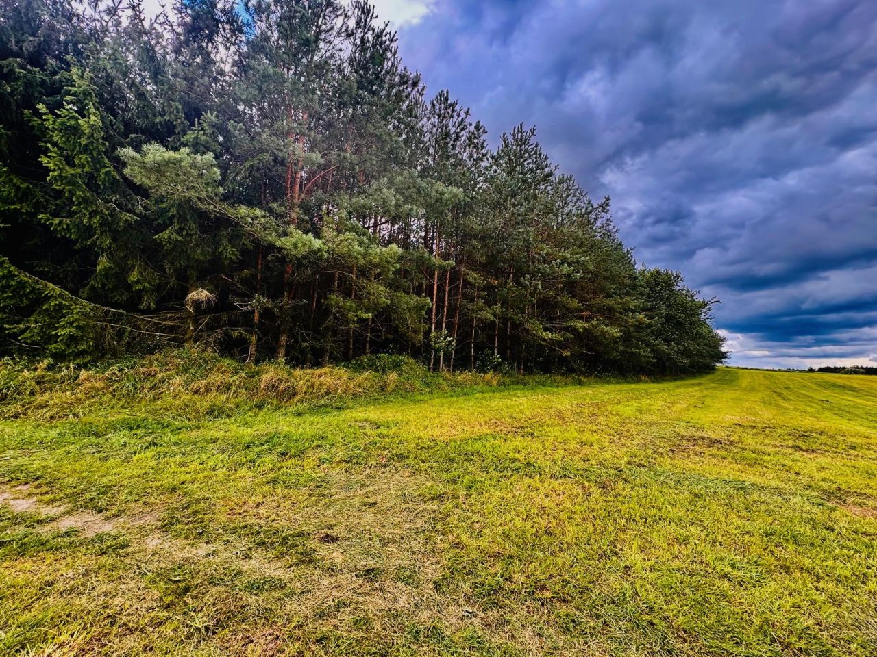 Działka siedliskowa Drygały, ul. Polna. Zdjęcie 6