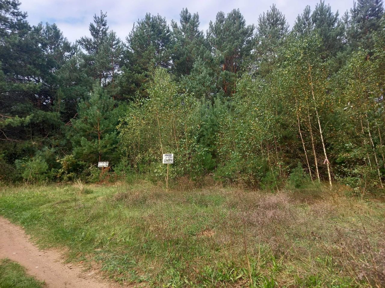 Działka Dzbądz. Zdjęcie 1