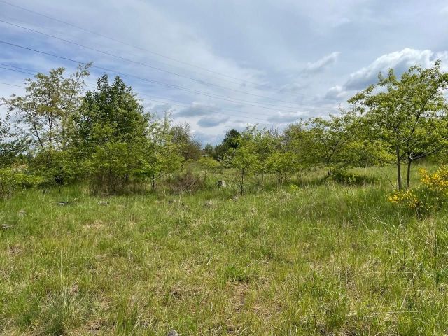 Działka budowlana Kędzierzyn-Koźle Blachownia Śląska, ul. Boczna. Zdjęcie 1