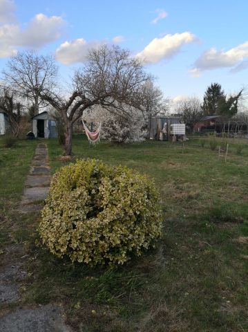 Działka rod Oleśnica, ul. Bolesława Limanowskiego. Zdjęcie 1