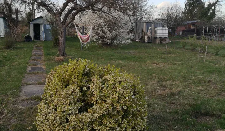 Działka rod Oleśnica, ul. Bolesława Limanowskiego