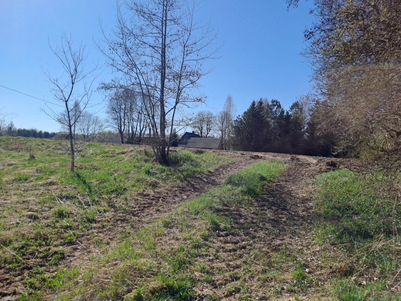 Działka budowlana Samin. Zdjęcie 4