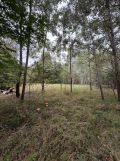 Działka rolno-budowlana Wilanowo. Zdjęcie 4