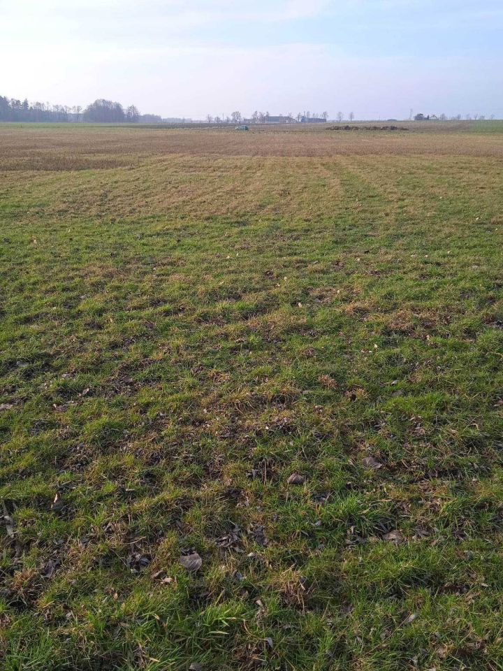 Działka Suserz. Zdjęcie 3