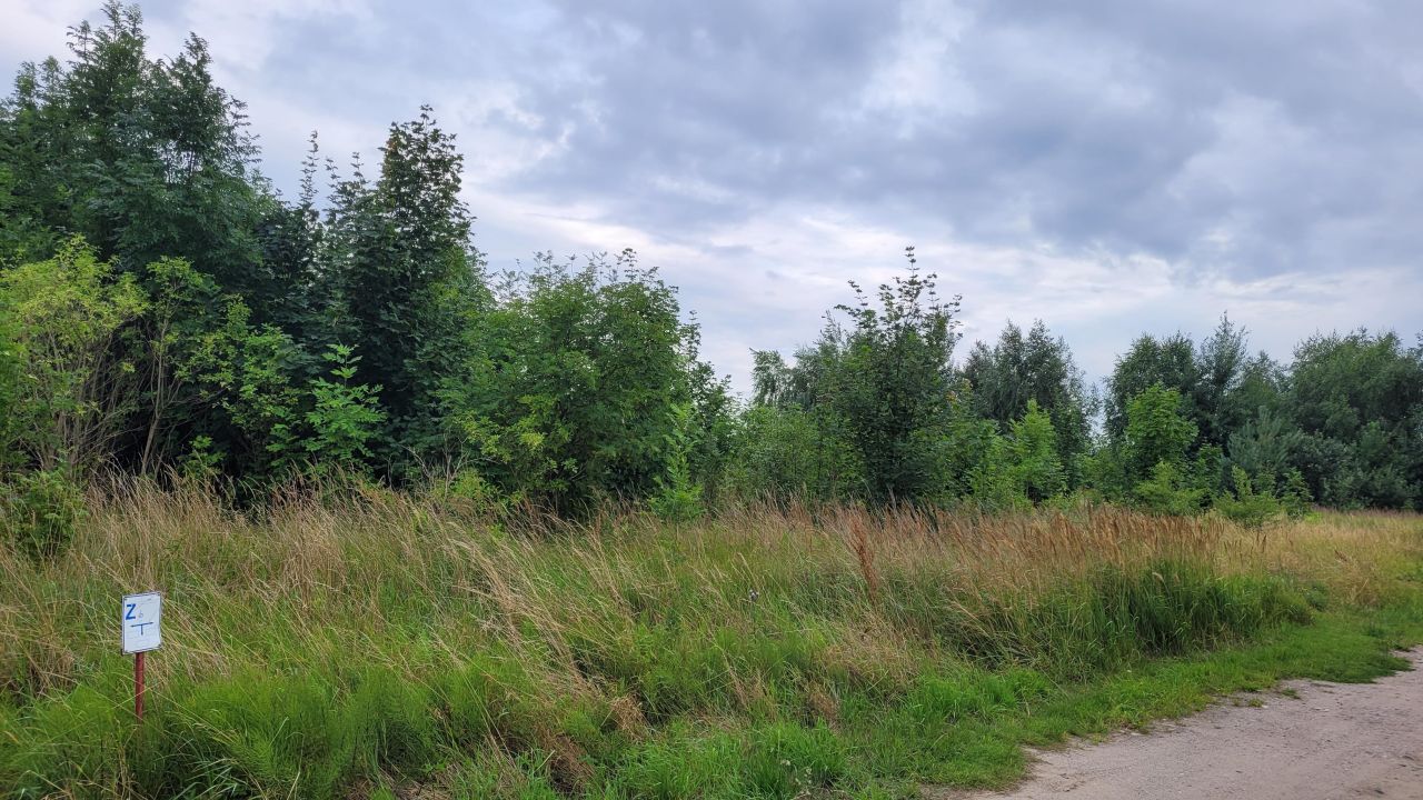 Działka budowlana Łekno, ul. Komendanta A. Czarneckiego. Zdjęcie 4