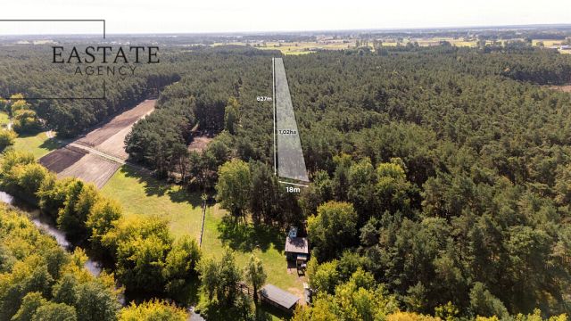 Działka leśna Maurzyce. Zdjęcie 1