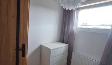 Mieszkanie 1-pokojowe Frombork