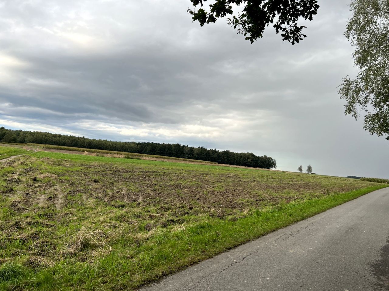 Działka budowlana Wilkowiczki, ul. Osiedlowa. Zdjęcie 3