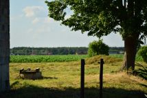 dom wolnostojący Brudzew. Zdjęcie 3