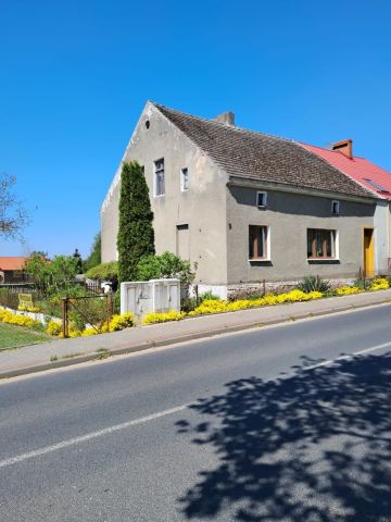 bliźniak Turowo. Zdjęcie 1