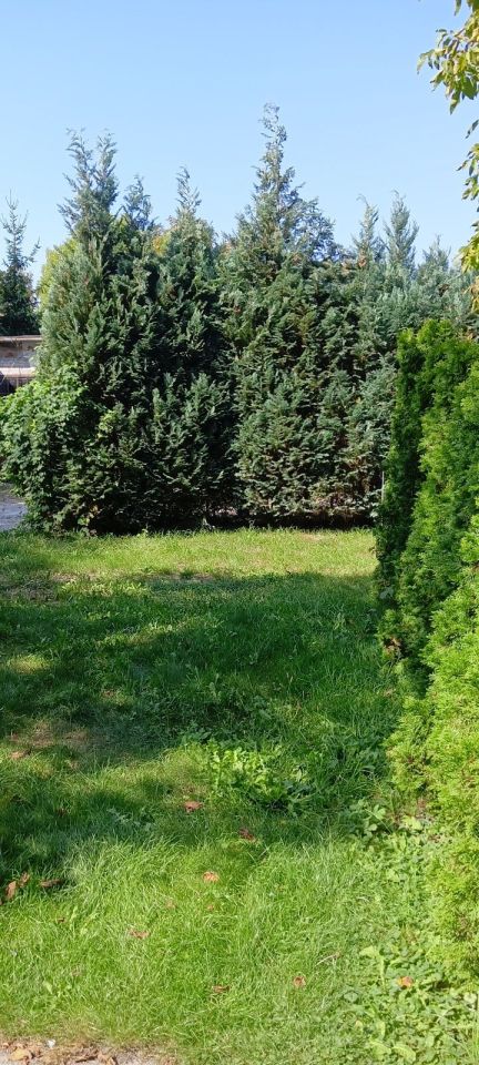 Działka budowlana Legionowo. Zdjęcie 6