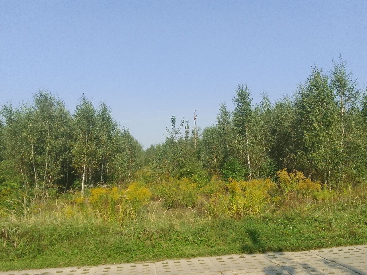 Działka inna Łódź Widzew, ul. Moskuliki